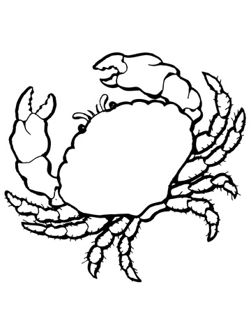 Sea Crab Coloring Page